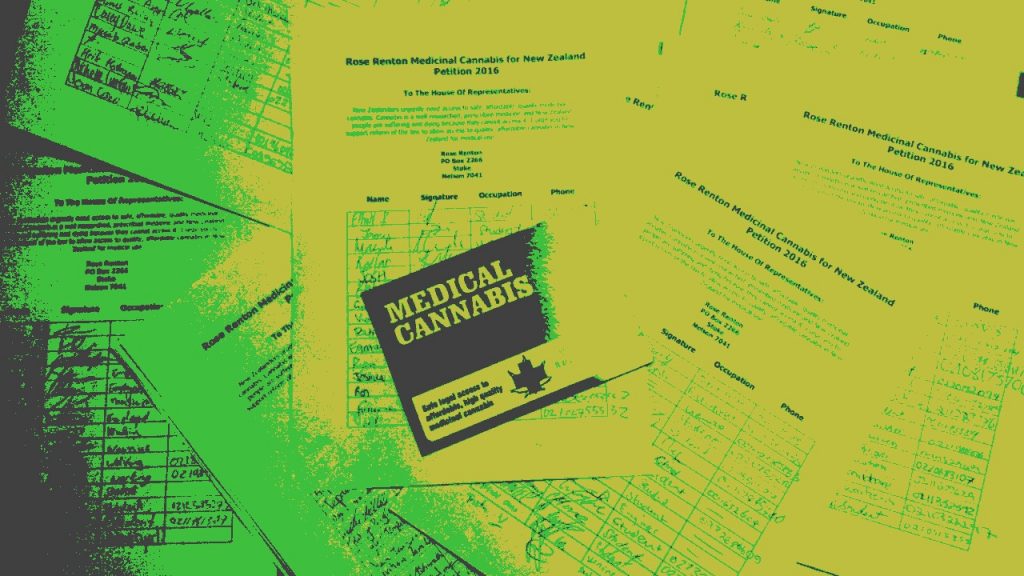 Cross-party support needed on medicinal cannabis – response to Govt and National Party medicinal cannabis bills