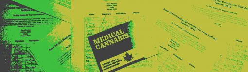 Medicinal cannabis bill: Do what is best for patients, MPs urged.