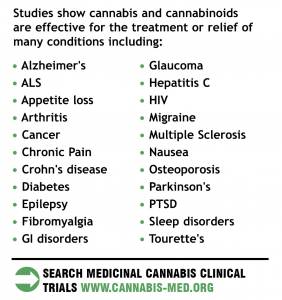 medicinal_cannabis_studies