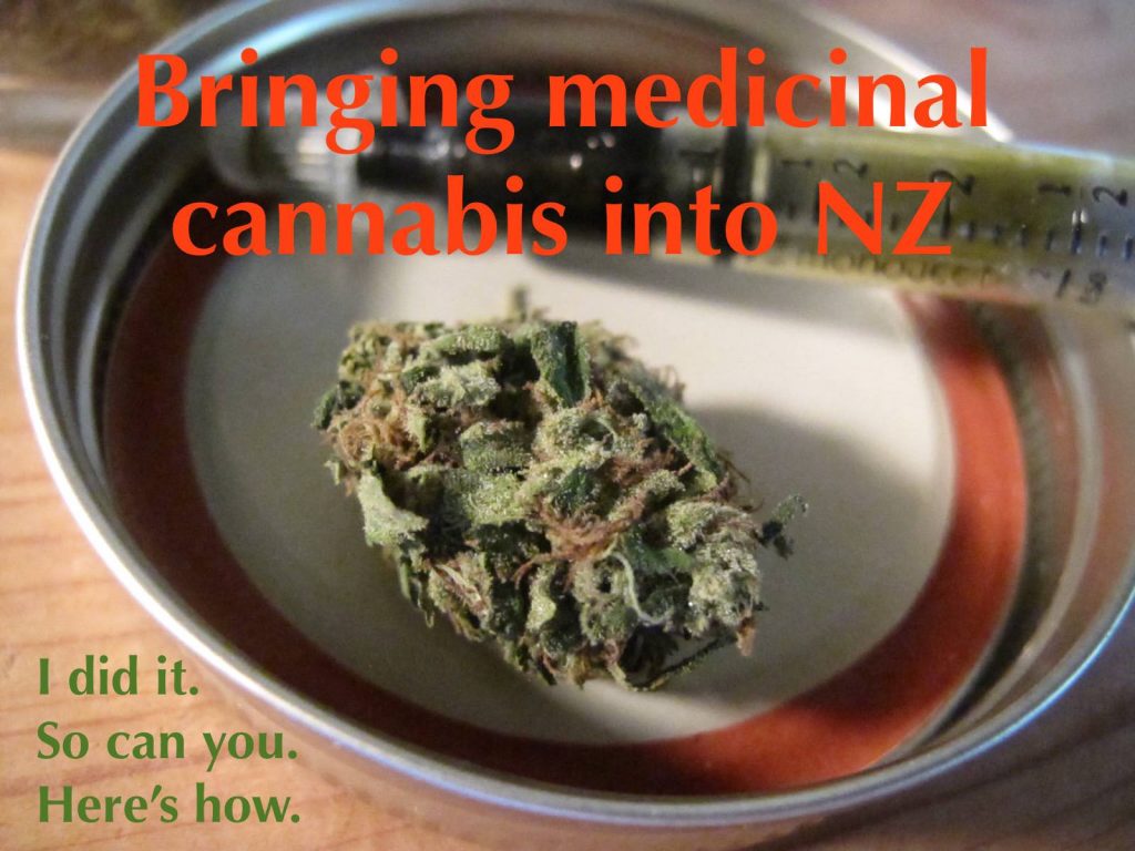 UPDATED: How to bring medicinal cannabis into New Zealand, legally