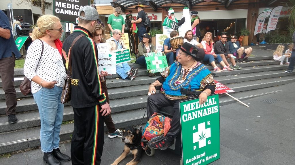 New Zealand Medicinal Cannabis Use Research Survey 2019