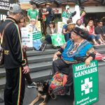 New Zealand Medicinal Cannabis Use Research Survey 2019