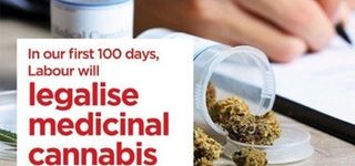NORML’s guide to making an effective submission on the 2018 Medicinal Cannabis Bill