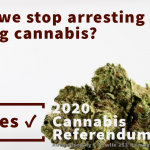 Medicinal cannabis wins and polls point to cannabis referendum’s recipe for success