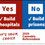 Cannabis referendum Bill’s recipe for success