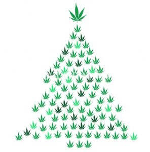 Cannabis year in review: the referendum’s long shadow