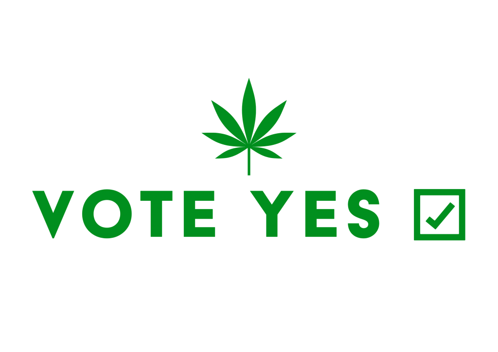 Cannabis referendum’s razor-thin result shows mandate for change