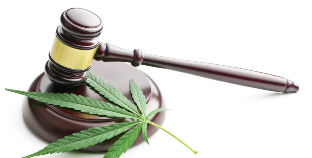 Police persecute medicinal cannabis suppliers – this isn’t the kindness or reform we were promised!