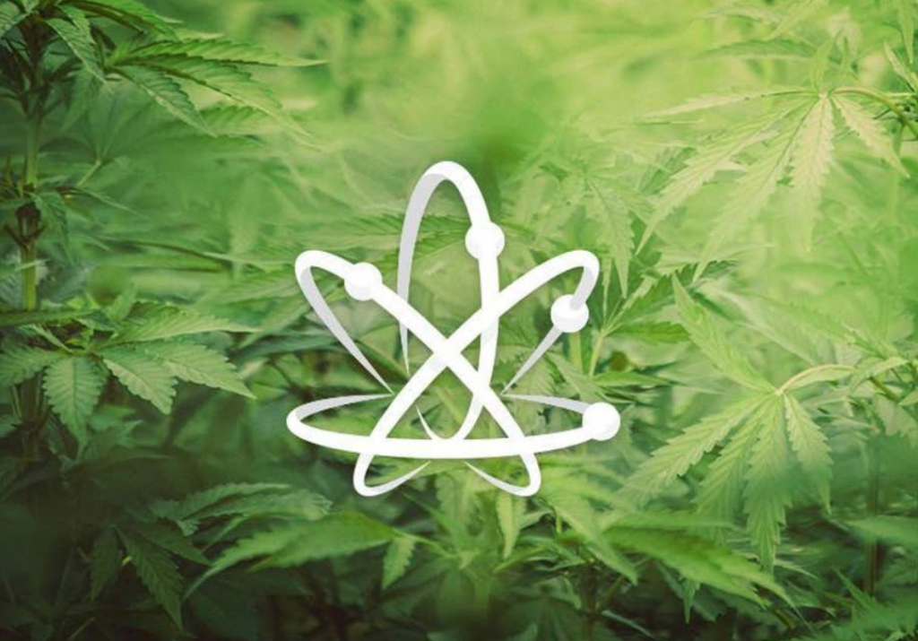 Science will save cannabis referendum from Reefer Madness
