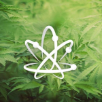 Science will save cannabis referendum from Reefer Madness